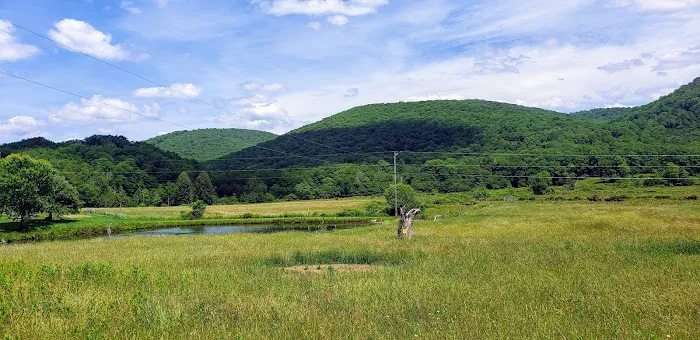 Bemis Campground 3