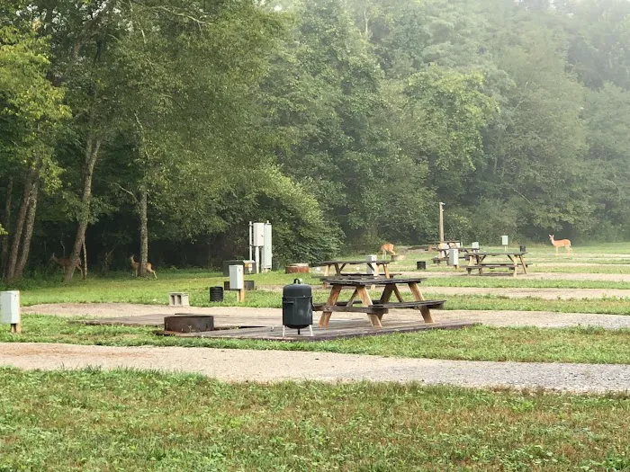 Hollybrook Farm Campground 4