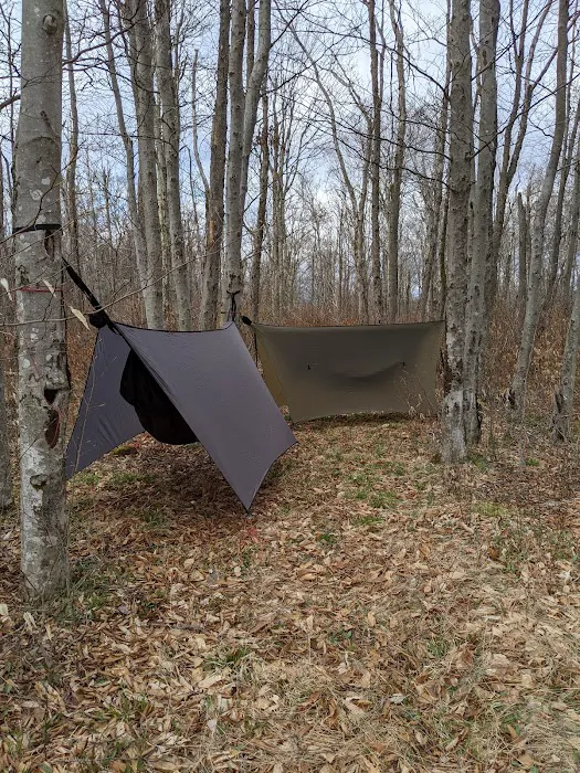 Gatewood Group Campground 0