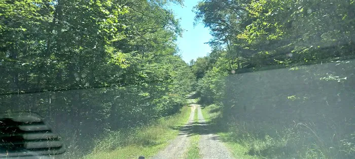 Gatewood Group Campground 5