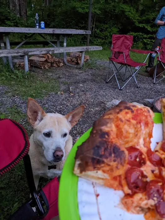 Gatewood Group Campground 4