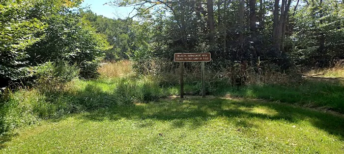 Gatewood Group Campground 9