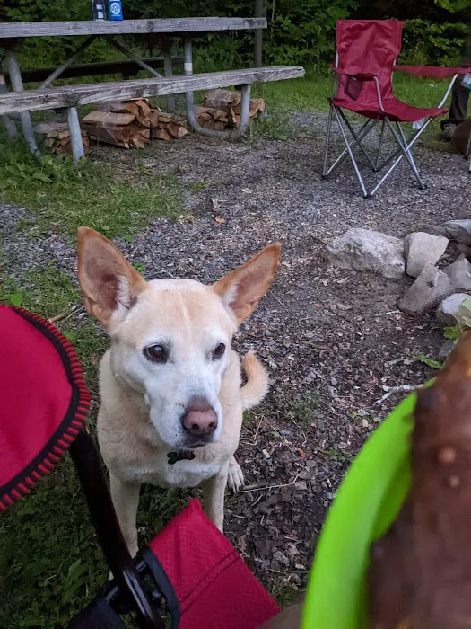 Gatewood Group Campground 6