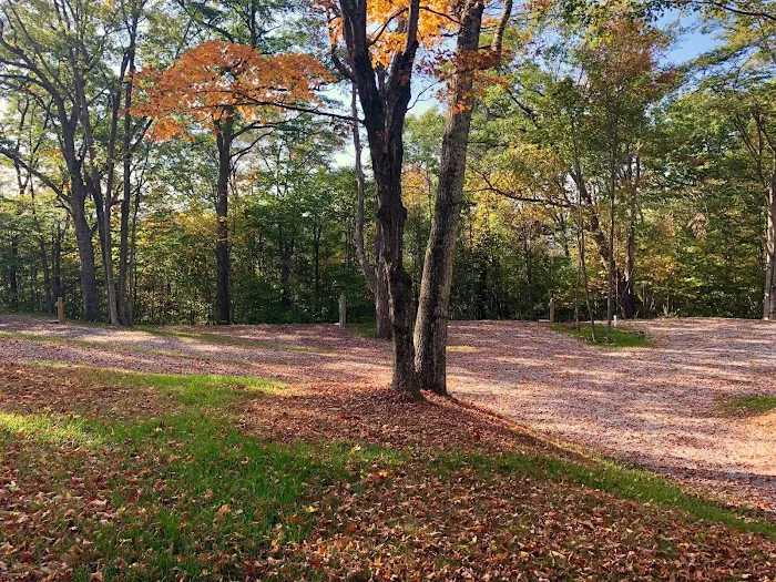 Back Ridge Shadows, LLC 4