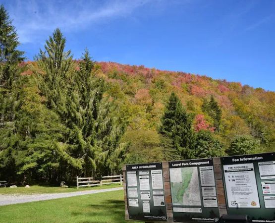Laurel Fork Campground