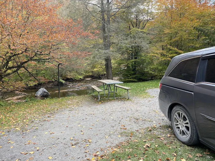 Laurel Fork Campground 1