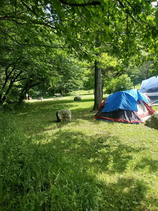 Laurel Fork Campground 6