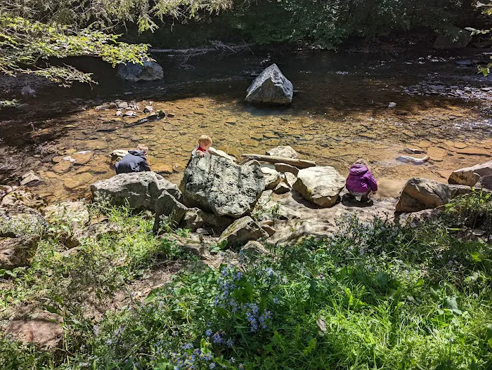 Laurel Fork Campground 9