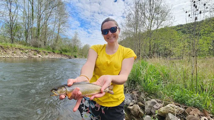 The Trout Camp aka Fontinalis Farms and Campground LLC. 0