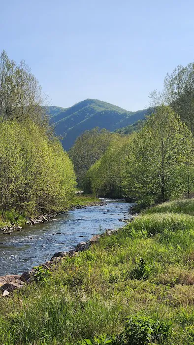 The Trout Camp aka Fontinalis Farms and Campground LLC. 2
