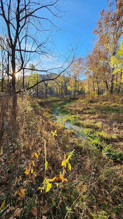 The Trout Camp aka Fontinalis Farms and Campground LLC. 5