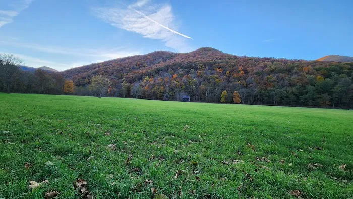The Trout Camp aka Fontinalis Farms and Campground LLC. 4