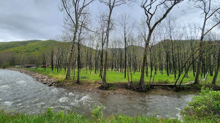 The Trout Camp aka Fontinalis Farms and Campground LLC. 7