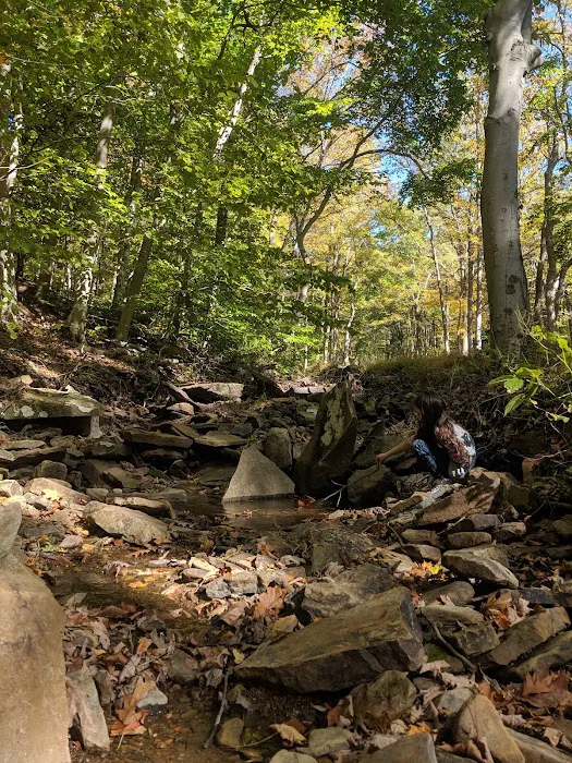 Dan's Mountain Campground 2