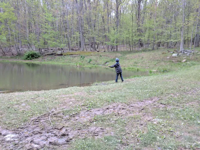 Dan's Mountain Campground 6