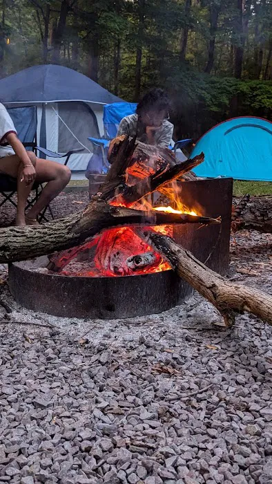 Dan's Mountain Campground 7