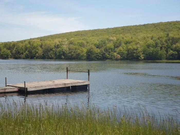 Little Brown Lake Campground 8