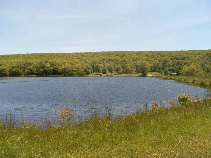 Little Brown Lake Campground 5