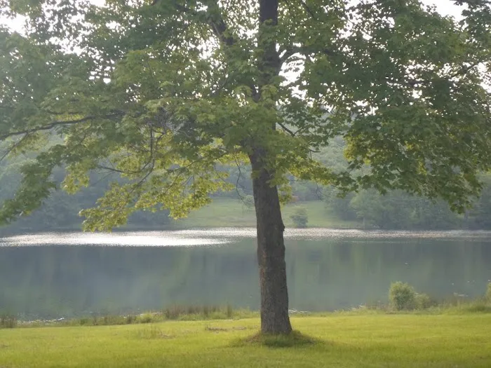 Little Brown Lake Campground 9