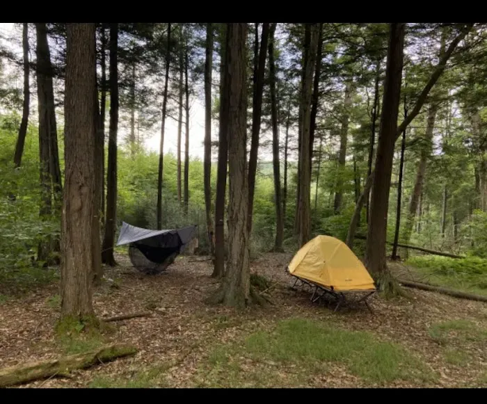 Sleepy Hollow Campground 5