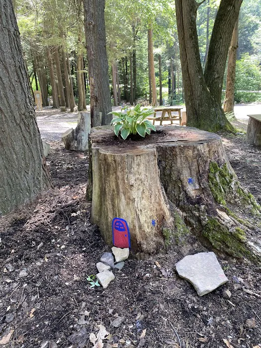 Sleepy Hollow Campground 6