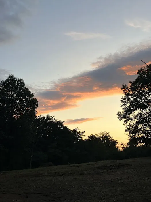Middle Ridge Campground 8
