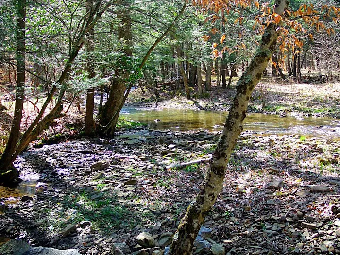 Island Campground 2