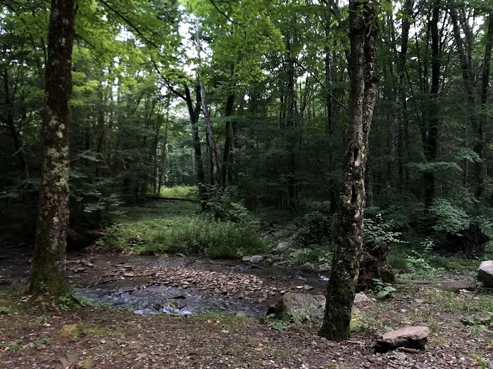 Island Campground 1