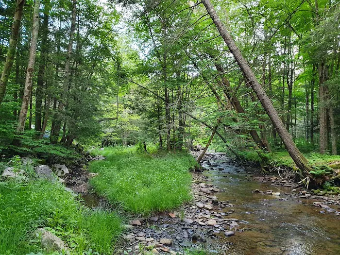 Island Campground 0