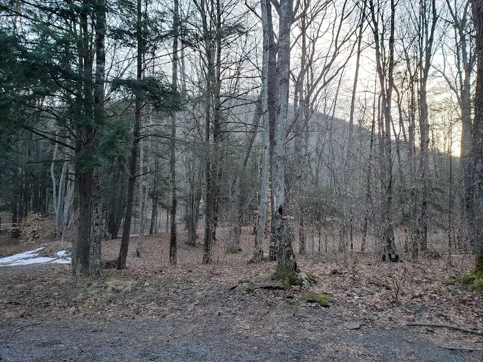 Island Campground 5