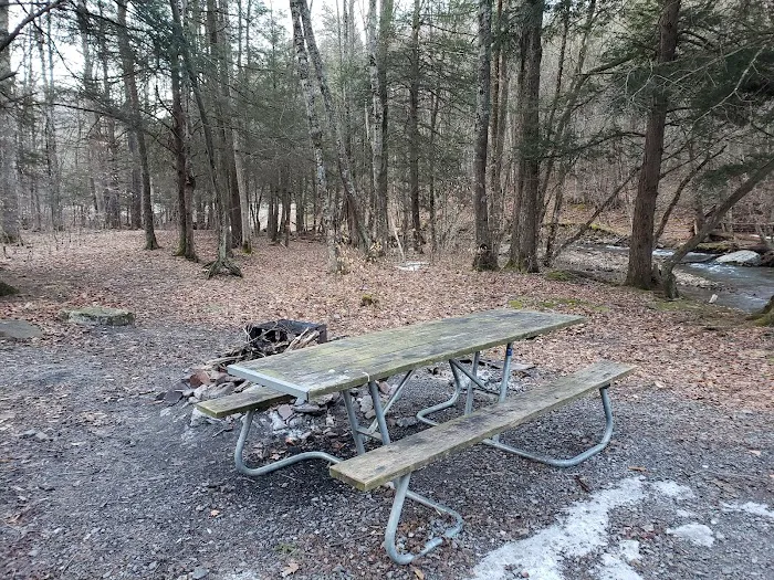 Island Campground 4