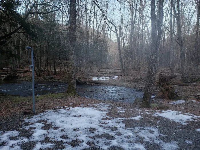 Island Campground 7