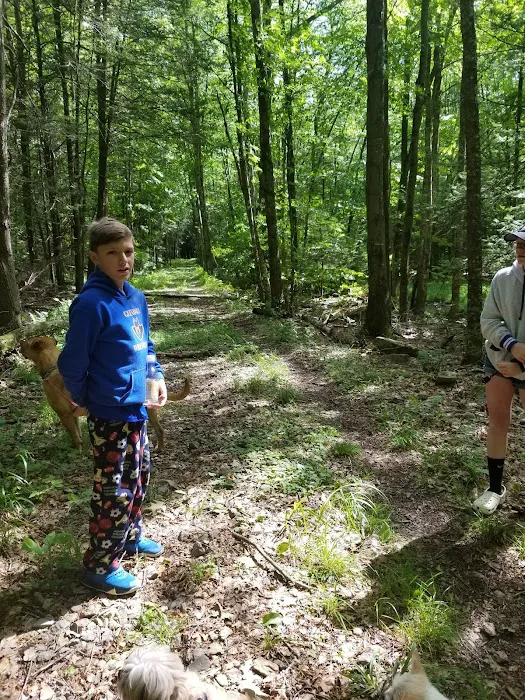 Island Campground 8
