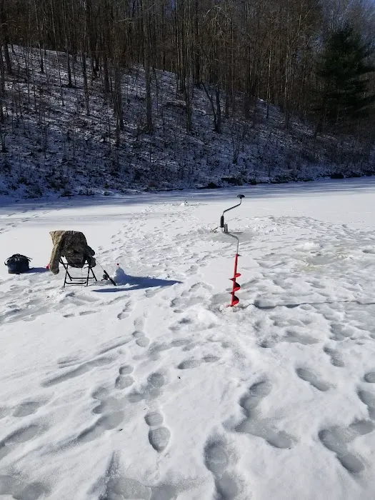 Curtisville Lake and Campground 7