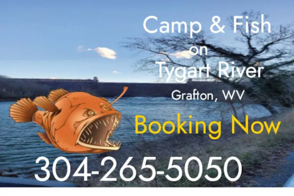 BaitFishCamping 0