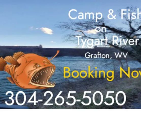 BaitFishCamping