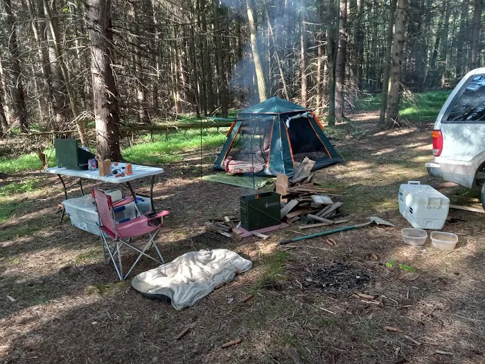 Pine Hill Campground 4