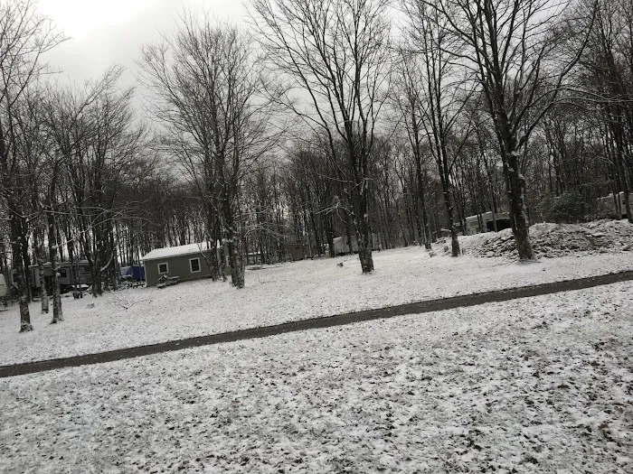 Pine Hill Campground 7