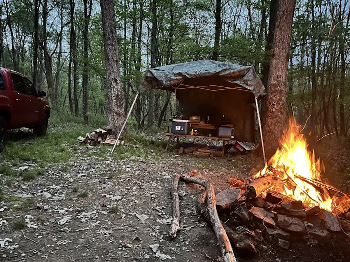 Tall Oaks Campground 5