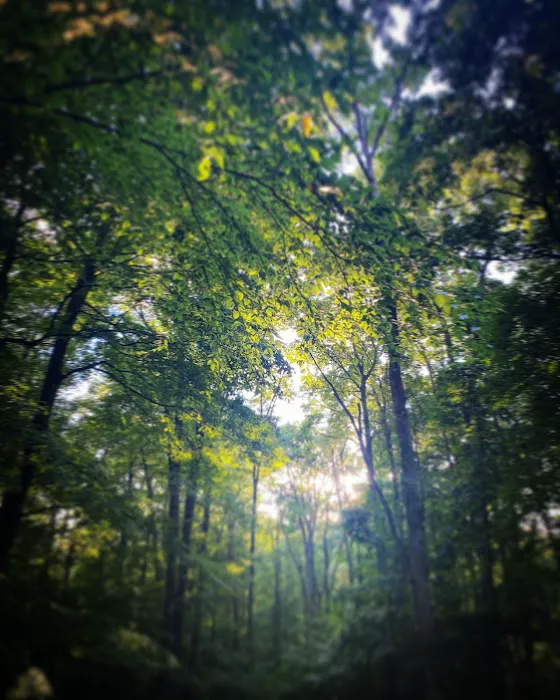Tall Oaks Campground 9