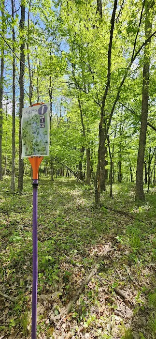Tall Oaks Campground 7
