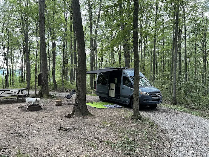 Forbes Campsite #4 1
