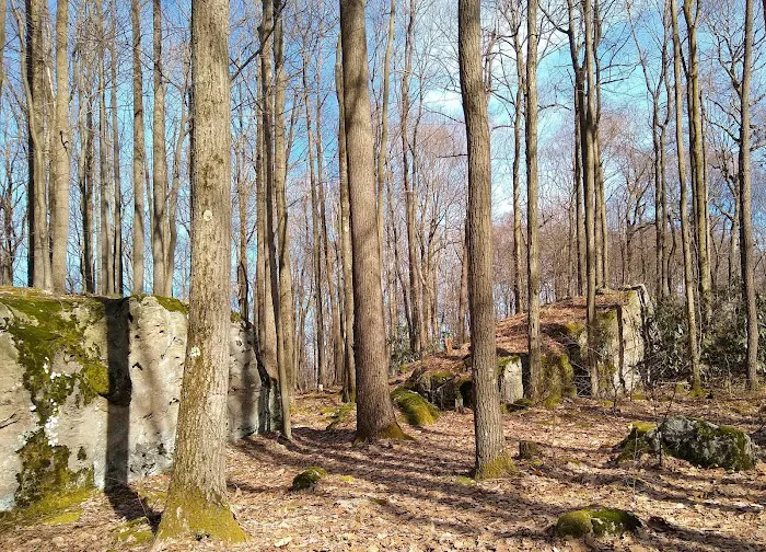 Forbes Campsite #4 0
