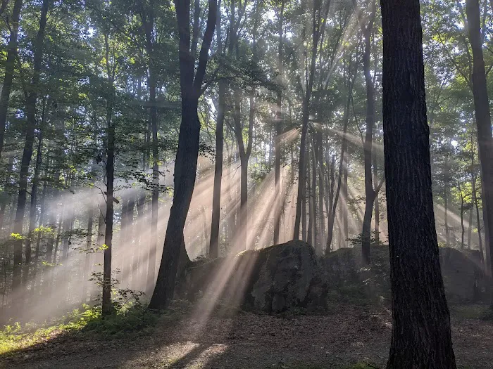 Forbes Campsite #4 8