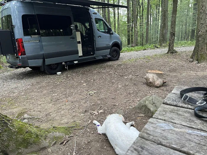 Forbes Campsite #4 6