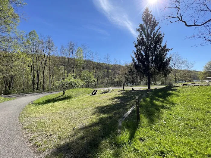 Yough Lake Campground 6
