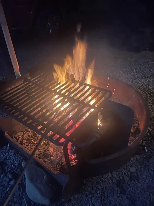 Yough Lake Campground 4