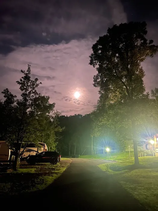 Yough Lake Campground 3