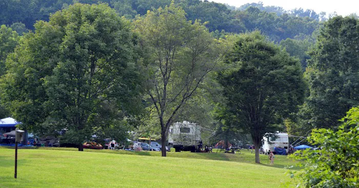 Yough Lake Campground 8