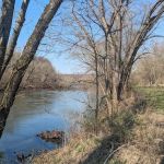 Spring Gap Campground